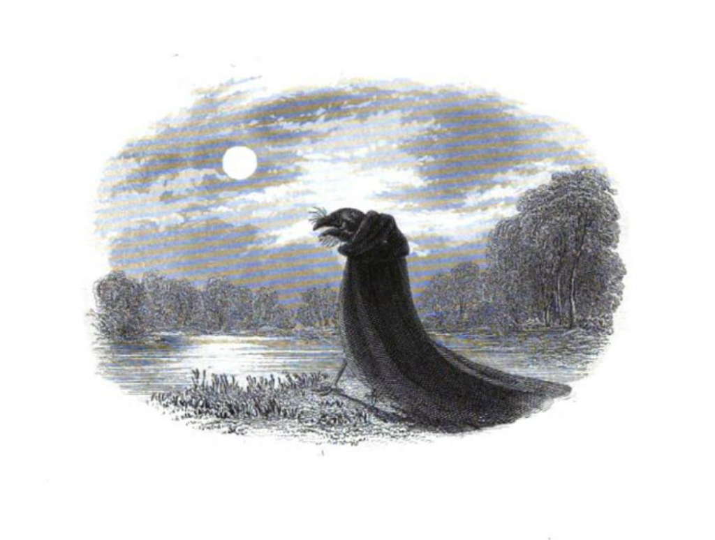 Why are they called nightjars? The truth behind the world’s most misunderstood bird family